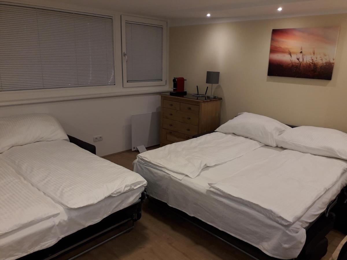 Cosy Flat In The Quiet Area With Own Garden, Free Parking And Direct Public Transport Link To The Centre Apartment Vienna Exterior photo